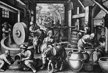 Oleum Olivarum, plansch 12 ur ”Nova Reperta”, graverad av Philip Galle, ca 1580-1605